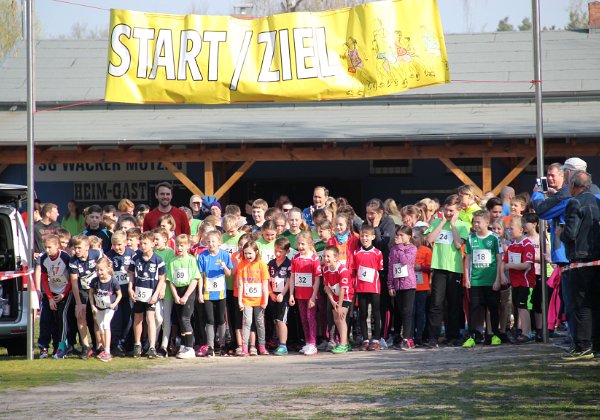 Frühlingslauf 2019