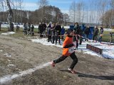 IMG_8799.JPG